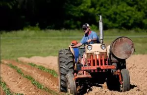 tractor agricultura Pexels