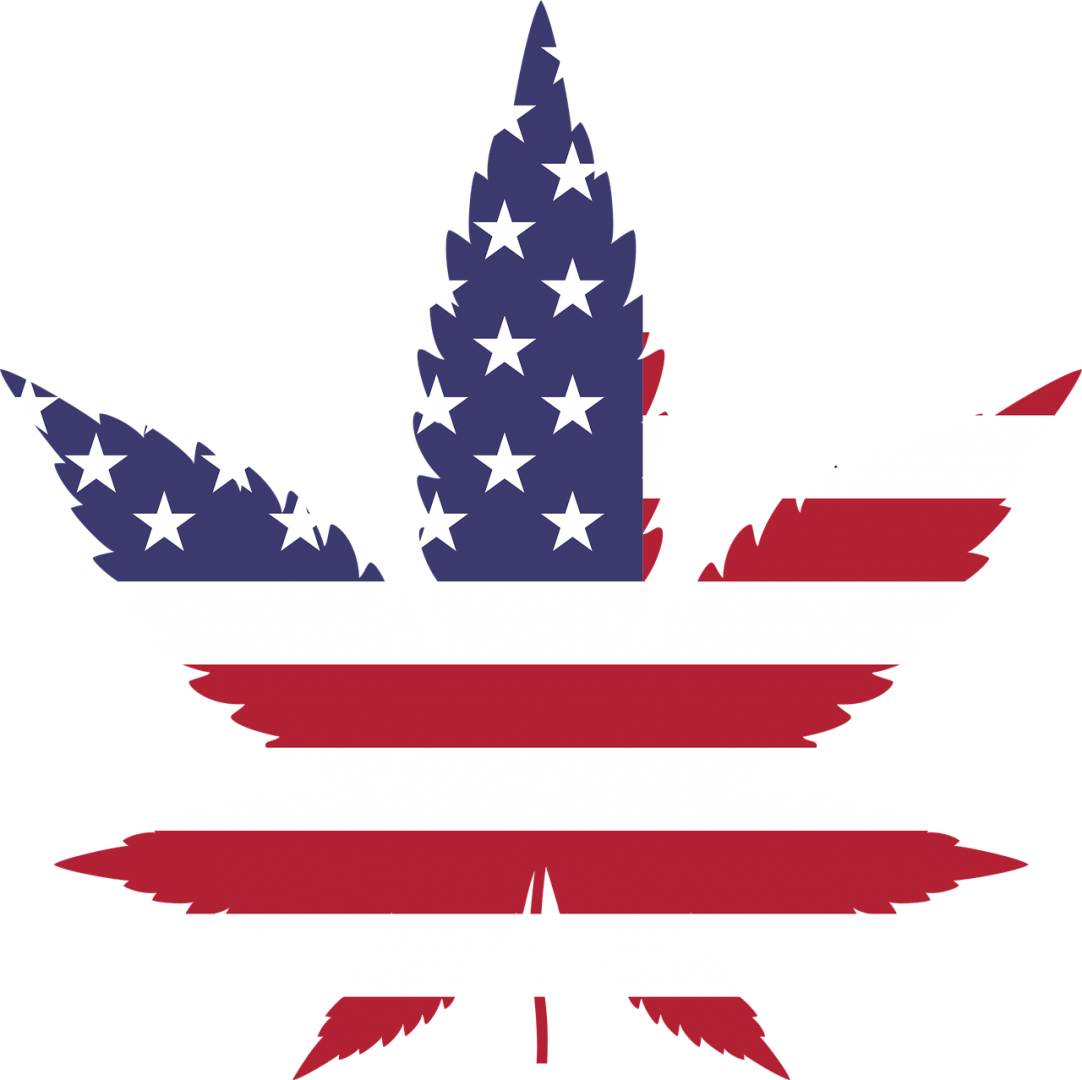Legalizare marijuana