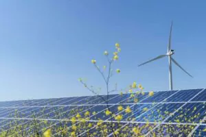 eoliene panouri solare EDP Renewables