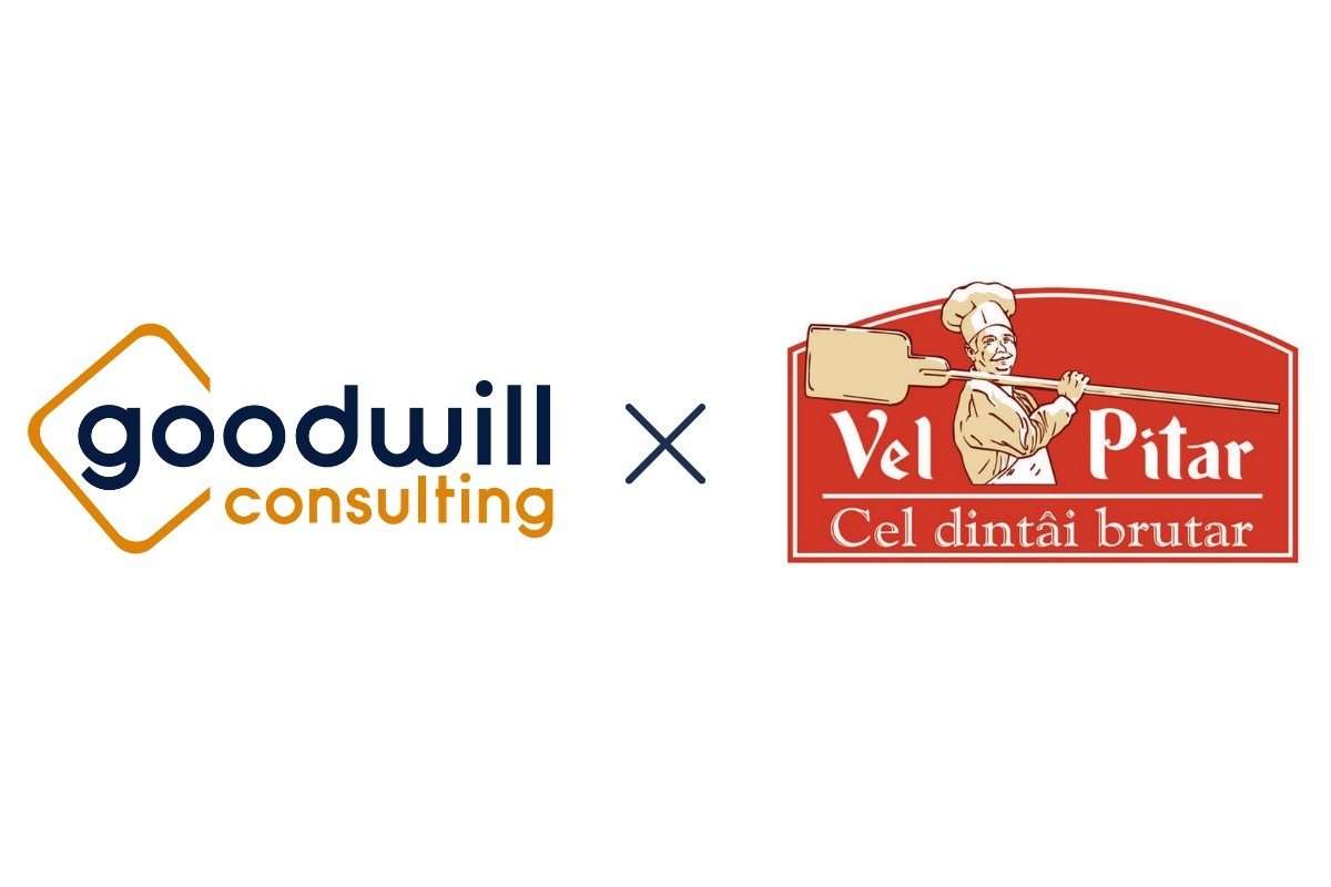 goodwill consulting x vel pitar