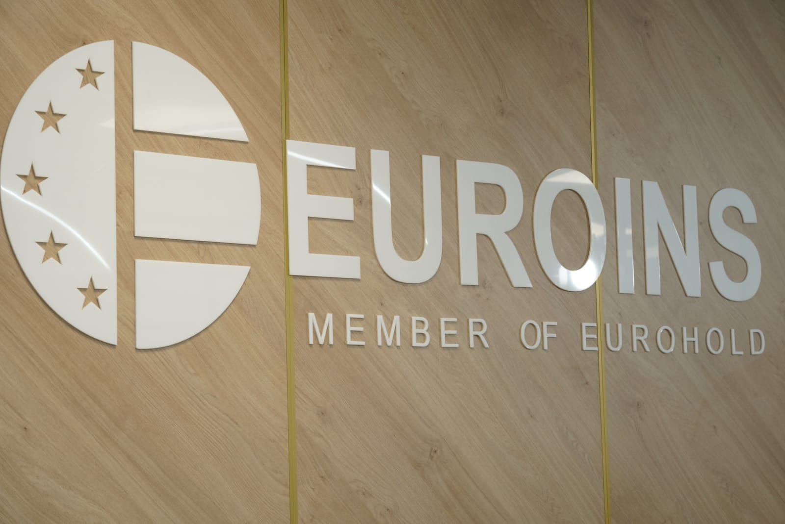 Euroins logo