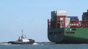 nava containere port