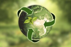 sustenabil, ecologie, produse verzi