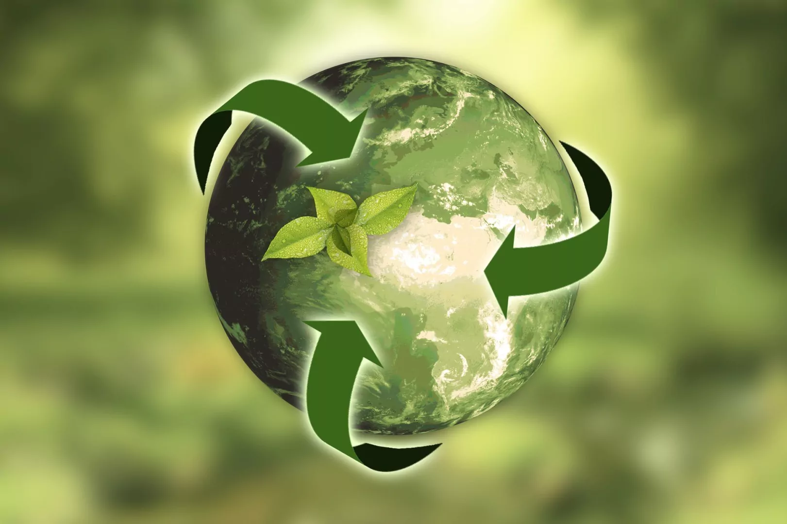 sustenabil, ecologie, produse verzi