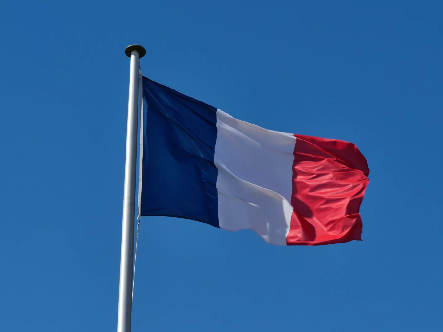 steag Franta