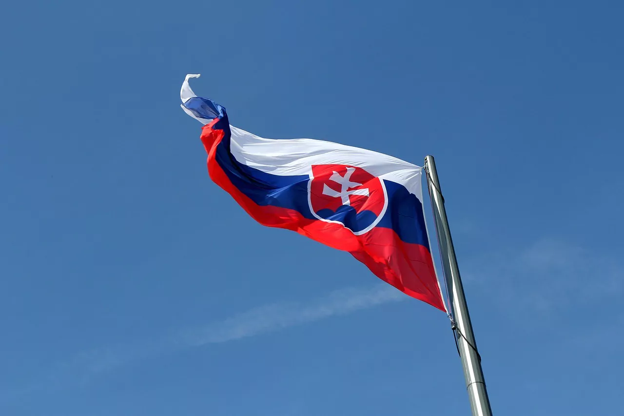 steag Slovacia