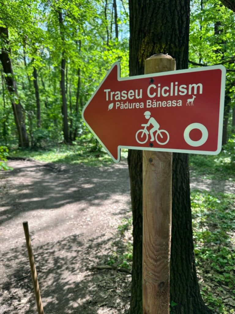 traseu biciclete Pădurea Băneasa