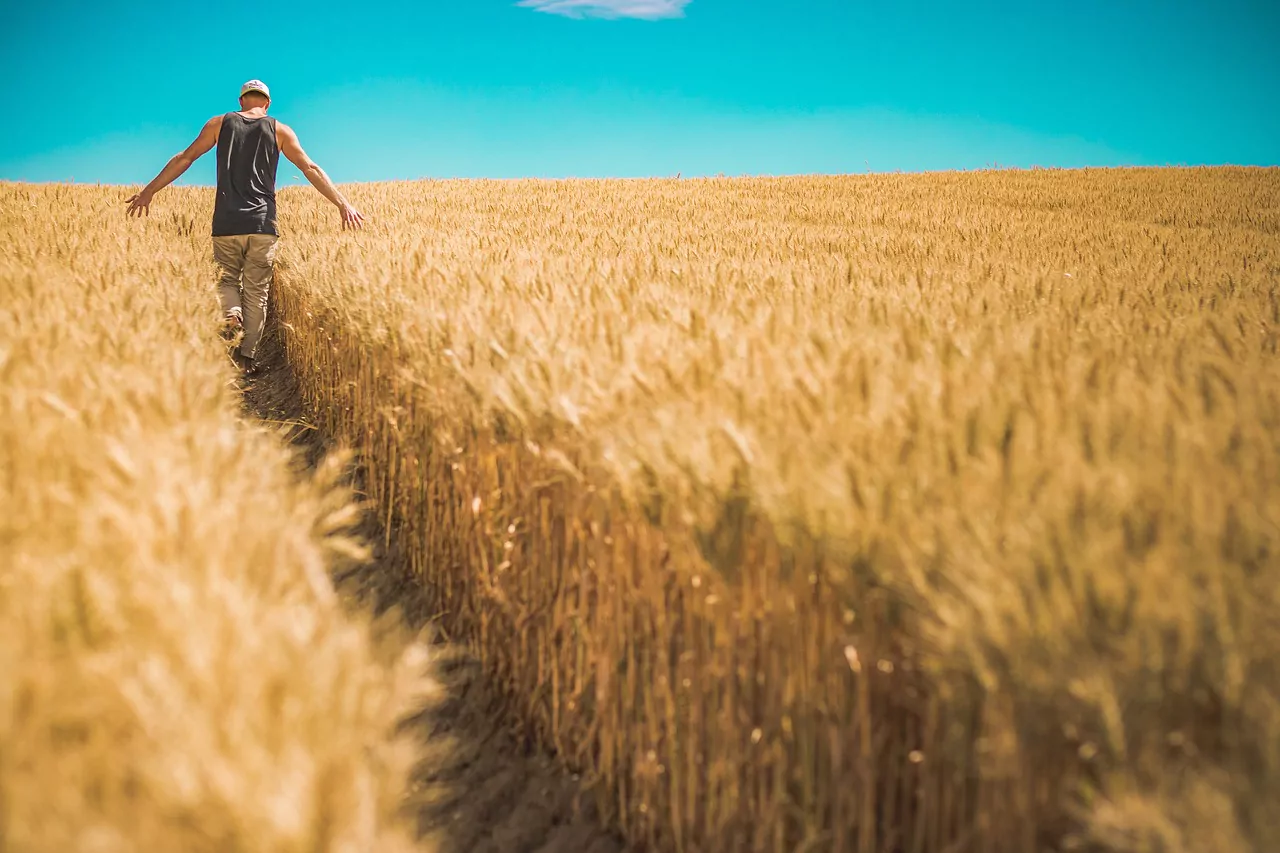 Fermieri, Bihor, Fermieri tineri, Fermieri români, agricultură